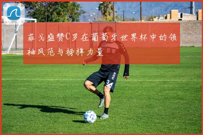 菲戈盛赞C罗在葡萄牙世界杯中的领袖风范与榜样力量